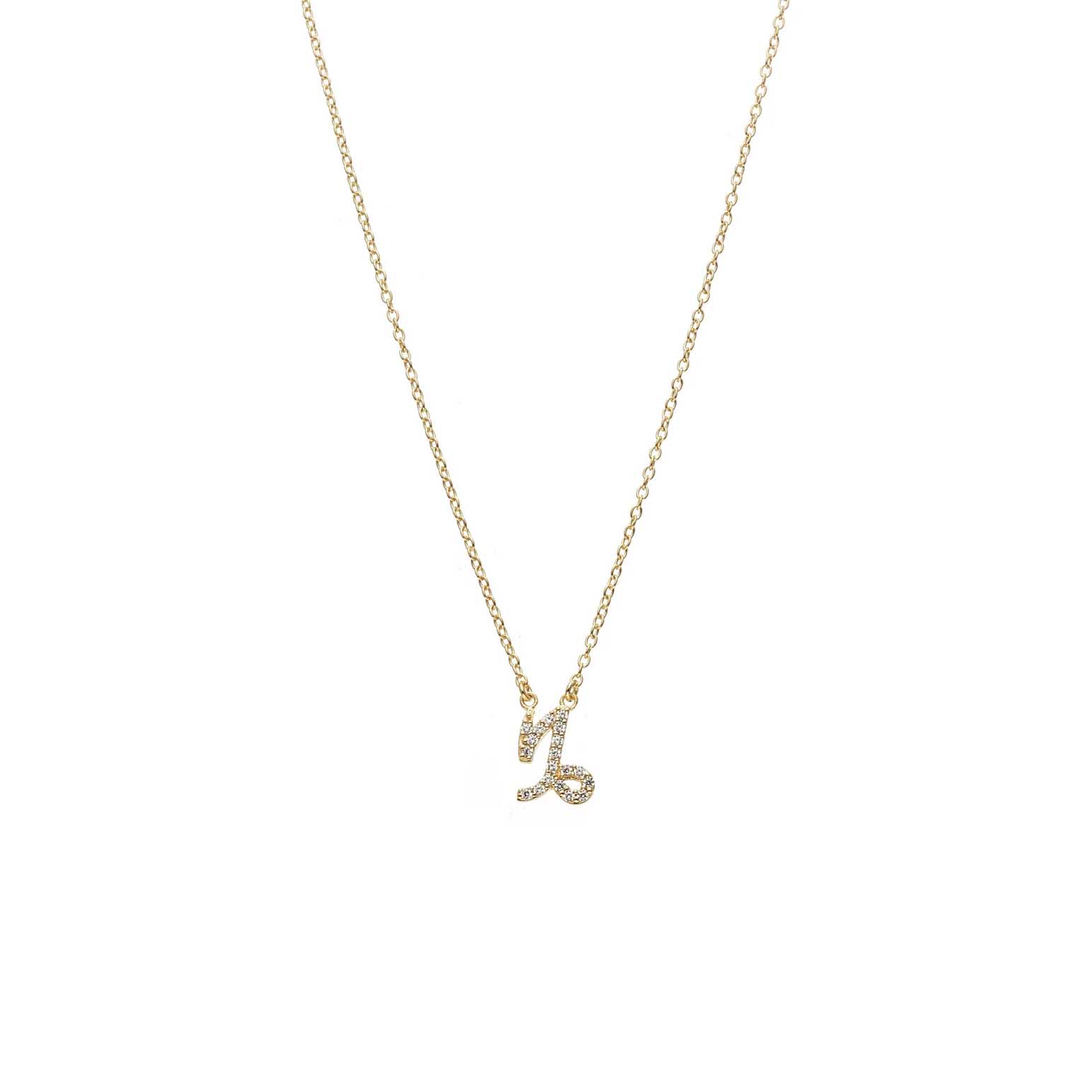 Silk & Steel Capricorn Necklace